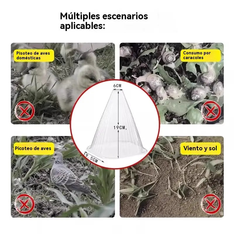 🔥20 piezas 25 euros🥬🥦Plántulas de melón, plántulas de hortalizas, cubiertas vegetales: conservación térmica, protección contra aves, insectos