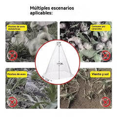 🔥20 piezas 25 euros🥬🥦Plántulas de melón, plántulas de hortalizas, cubiertas vegetales: conservación térmica, protección contra aves, insectos