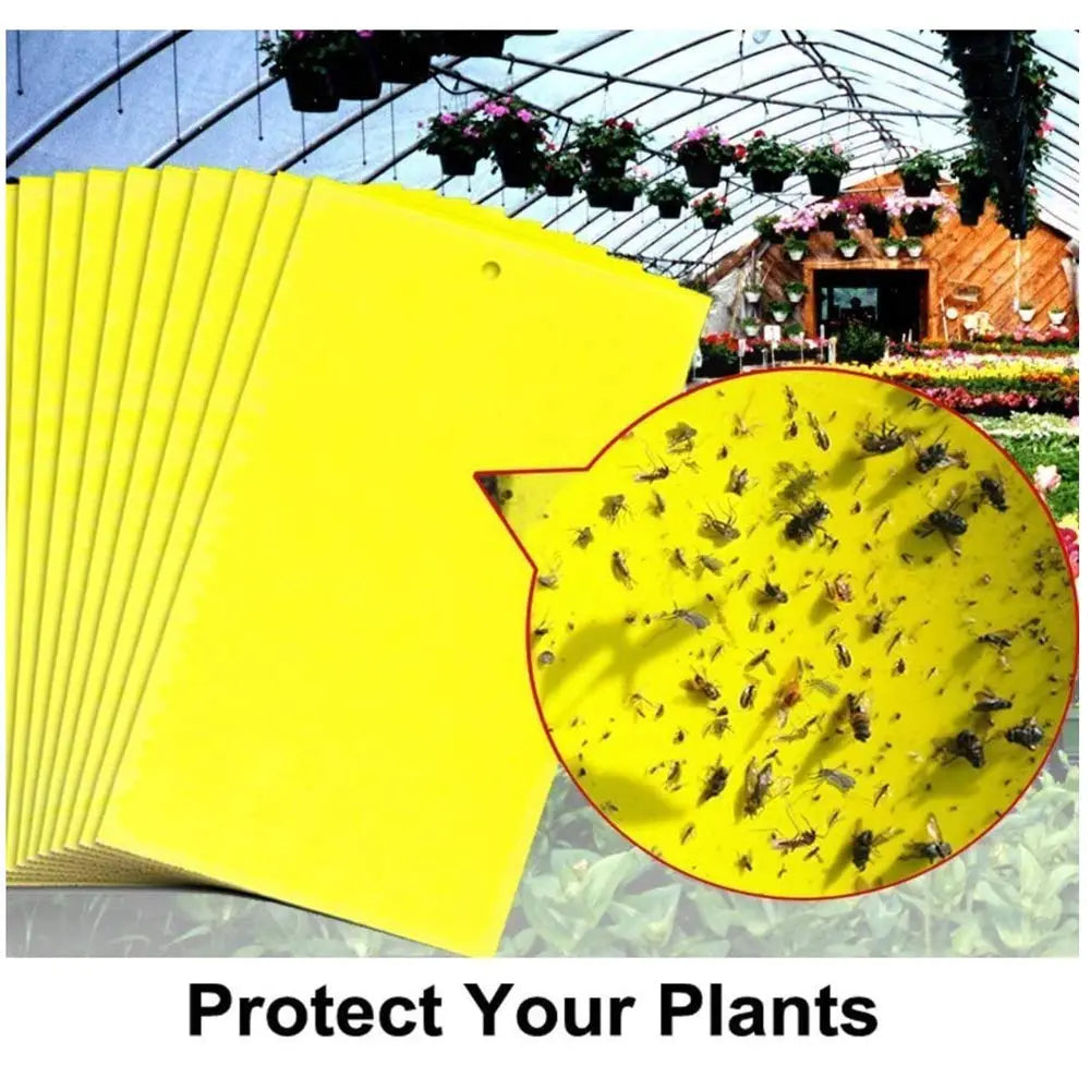 🔥【30 pcs】【Oferta por tiempo limitado】💥Tablero adhesivo de insectos de doble cara amarillo