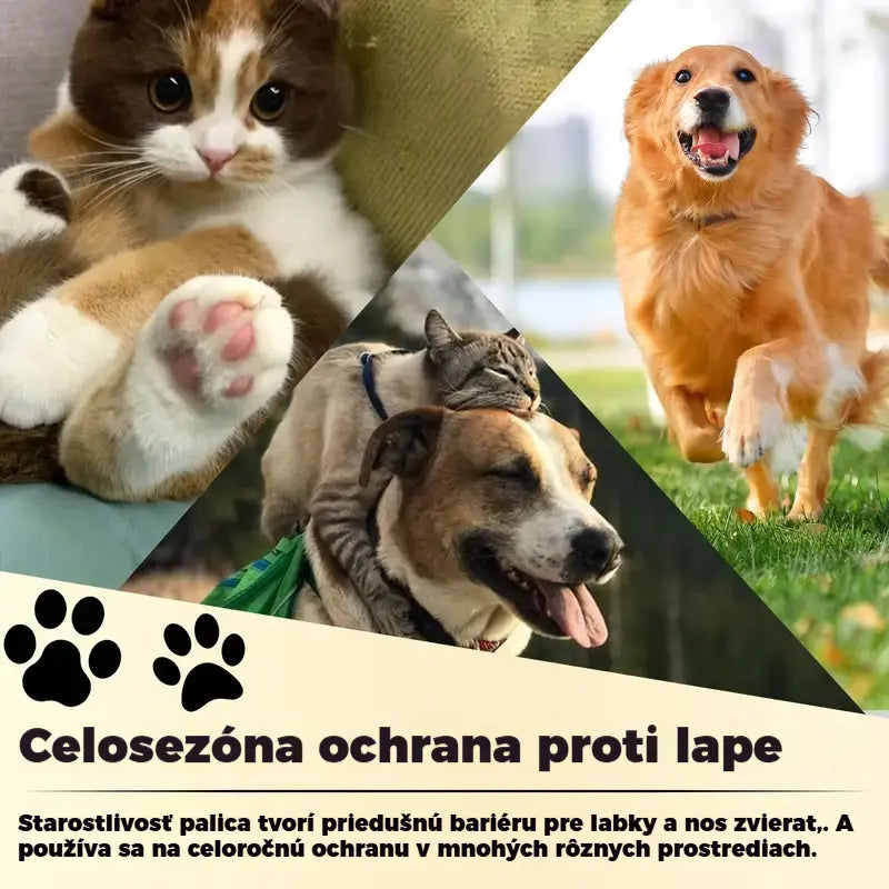 💧🐾 Hydratačný balzam na labky – 🐶 Rozmaznávajte jemné a zdravé labky vášho domáceho maznáčika