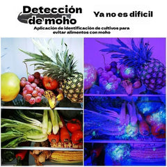 🔥Compra 1 y llévate 1 gratis🔥Luz especializada para la detección de verduras en la cocina - luz ultravioleta 🔦🌿