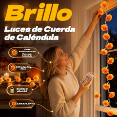 🎃🌼 Luces de caléndula: el brillo festivo de color naranja crea una atmósfera de Halloween cálida pero a la vez espeluznante ✨🕸️