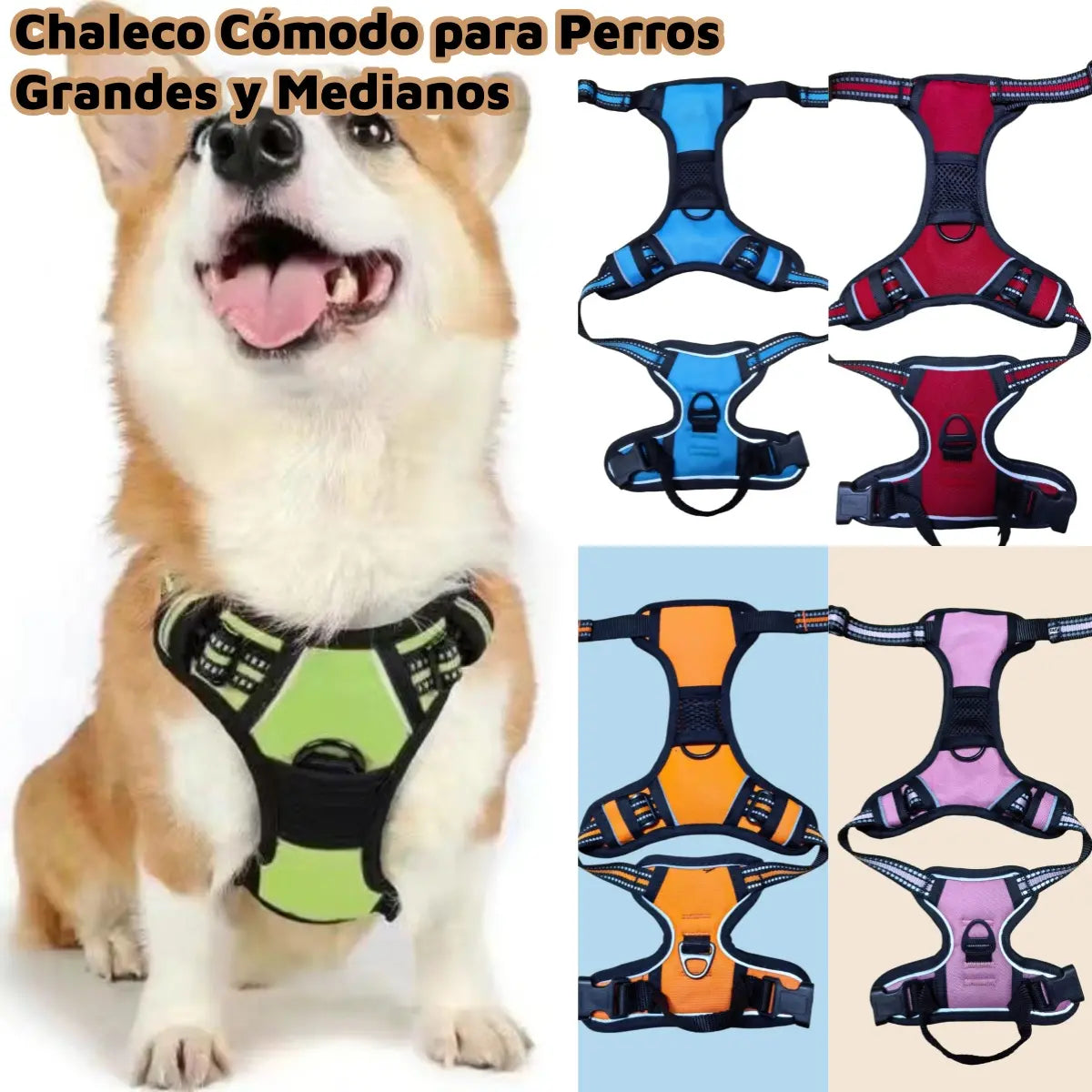 🐾 Chaleco Cómodo para Perros Grandes y Medianos｜Ajuste Seguro, Diseño Ergonómico y Máxima Comodidad para Paseos Diarios