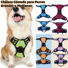 🐾 Chaleco Cómodo para Perros Grandes y Medianos｜Ajuste Seguro, Diseño Ergonómico y Máxima Comodidad para Paseos Diarios