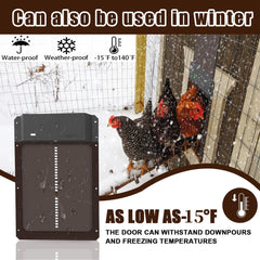 🚪 Puerta automática para gallinero con sensor de luz – impermeable, segura y fácil de instalar 🐔✨