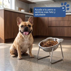 🐶✨ Comedero Ergonómico de Acero para Perros — 15° para Comer Más Cómodamente