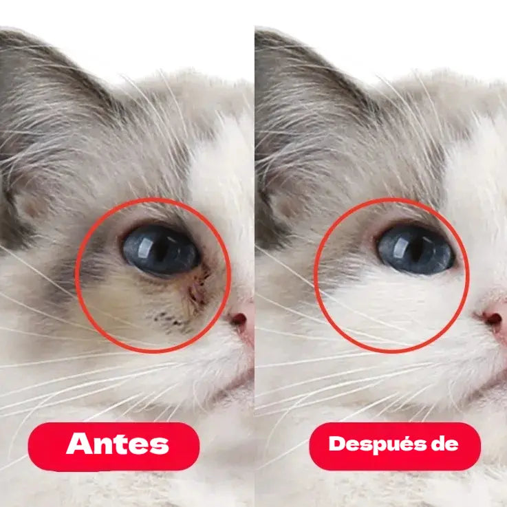 🐱🐶 Limpiador ocular y gotas para los ojos de mascotas: fórmula suave con pH equilibrado, segura para perros y gatos. 🌿💧