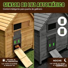 🚪 Puerta automática para gallinero con sensor de luz – impermeable, segura y fácil de instalar 🐔✨
