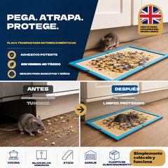 Trampa Adhesiva para Ratones de Interior