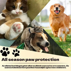 💧🐾 Hidratáló mancsbalzsam – 🐶 Kényeztesd kedvenced puha és egészséges mancsait