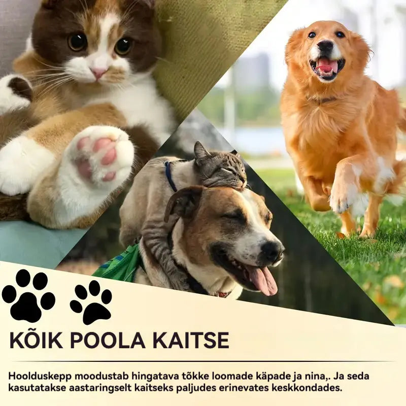 💧🐾 Niisutav käpapalsam – 🐶 Hellita oma lemmiklooma pehmeid ja terveid käppasid