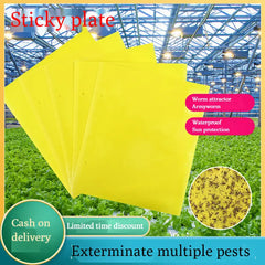 🔥【30 pcs】【Oferta por tiempo limitado】💥Tablero adhesivo de insectos de doble cara amarillo