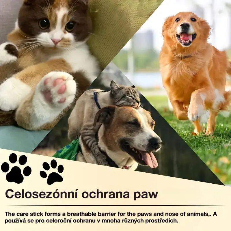 💧🐾 Hydratační balzám na tlapky – 🐶 Hýčkejte hebké a zdravé tlapky svého mazlíčka