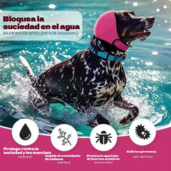 🐶 Diadema protectora para perros: reduce el ruido y es impermeable. Fabricada con caucho de neopreno de alta calidad, protege las orejas de tu mascota y la calma. ✨🌊