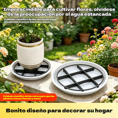 📢📢 ¡50% de descuento! ⏰ Alfombrilla protectora para raíces de plantas: eleva las plantas y mejora la circulación del aire 🏠