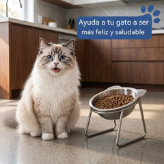 🐶✨ Comedero Ergonómico de Acero para Perros — 15° para Comer Más Cómodamente