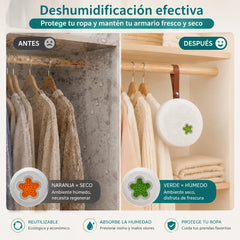 🌀💧Mini deshumidificador reutilizable para el hogar