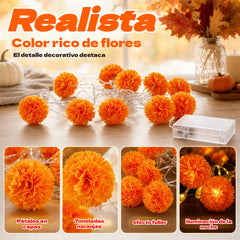 🎃🌼 Luces de caléndula: el brillo festivo de color naranja crea una atmósfera de Halloween cálida pero a la vez espeluznante ✨🕸️