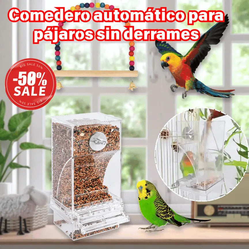 🐦 Comedero Automático para Pájaros｜Mantén la Comida Ordenada y A tus Aves Siempre Alimentadas