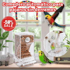 🐦 Comedero Automático para Pájaros｜Mantén la Comida Ordenada y A tus Aves Siempre Alimentadas