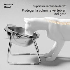🐶✨ Comedero Ergonómico de Acero para Perros — 15° para Comer Más Cómodamente