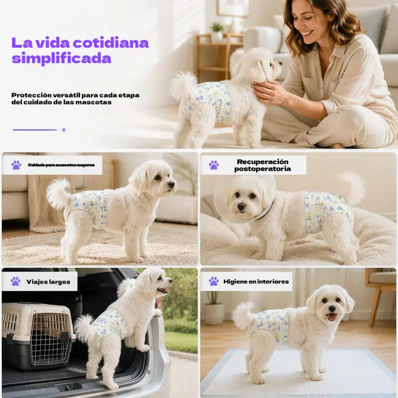 🐶💧 Pañales desechables para mascotas: súper absorbentes, transpirables y cómodos, mantienen a tu perro o gato seco y feliz 🐱✨