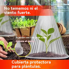 🔥20 piezas 25 euros🥬🥦Plántulas de melón, plántulas de hortalizas, cubiertas vegetales: conservación térmica, protección contra aves, insectos