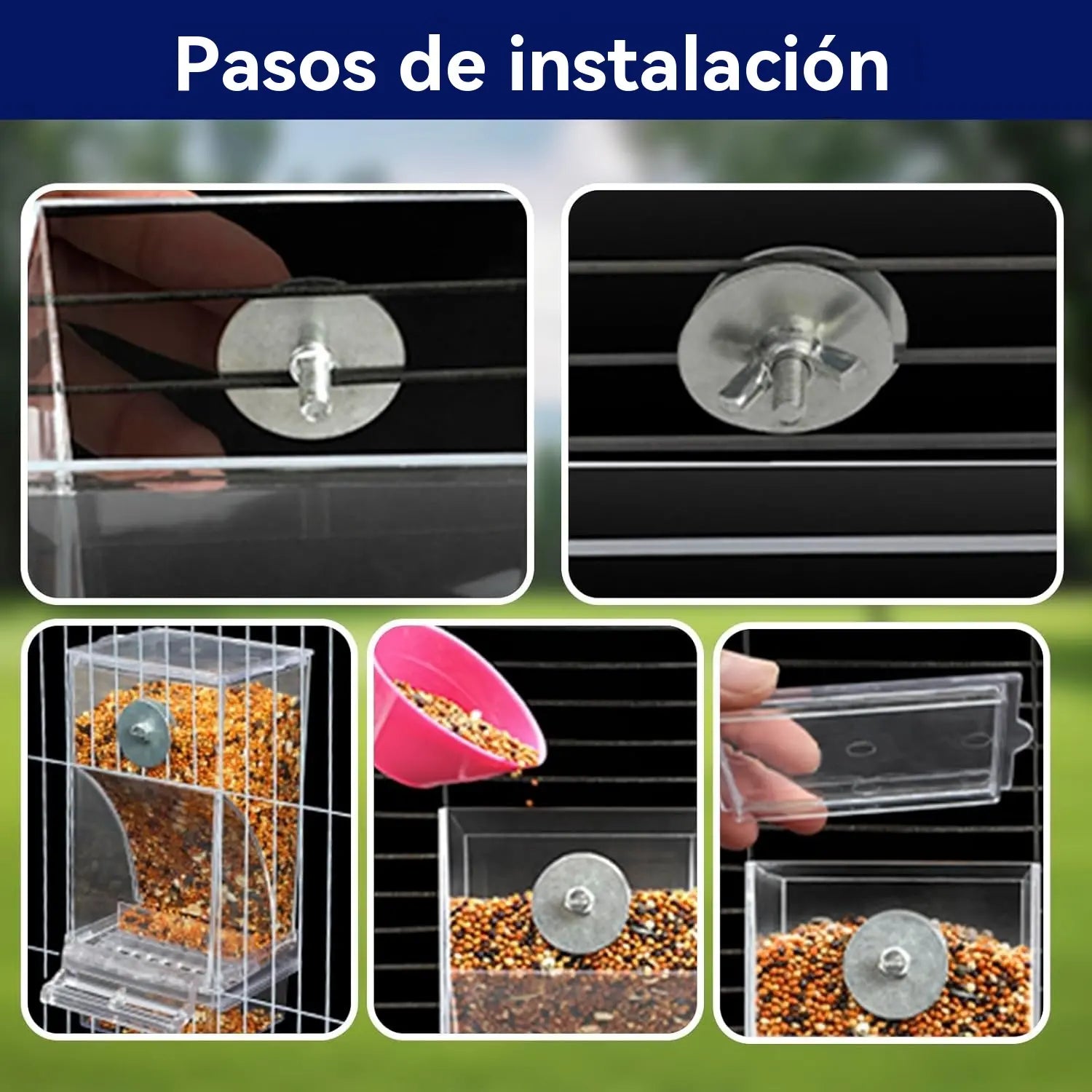 🐦 Comedero Automático para Pájaros｜Mantén la Comida Ordenada y A tus Aves Siempre Alimentadas