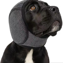 🐶 Diadema protectora para perros: reduce el ruido y es impermeable. Fabricada con caucho de neopreno de alta calidad, protege las orejas de tu mascota y la calma. ✨🌊