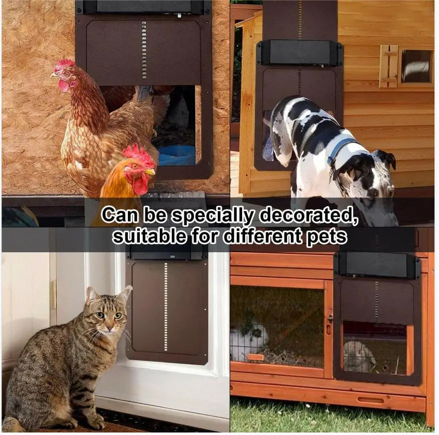 🚪 Puerta automática para gallinero con sensor de luz – impermeable, segura y fácil de instalar 🐔✨