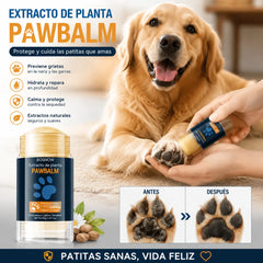 💧🐾 Bálsamo hidratante para patas – 🐶 Mima las patas suaves y saludables de tu mascota