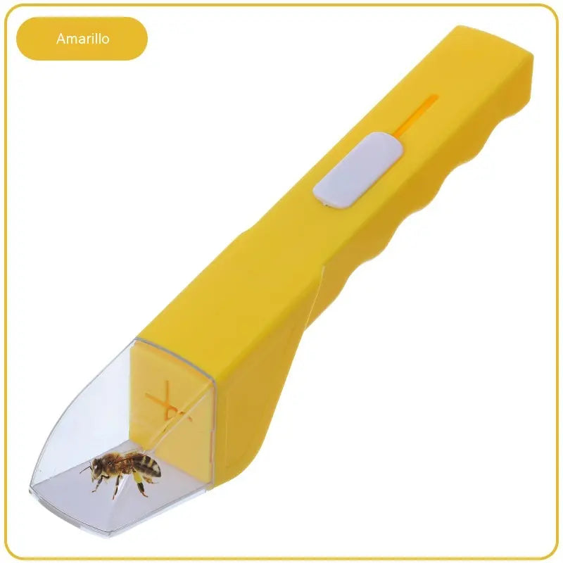 🦋2 artículos por 26 euros🐞Atrapainsectos infantil con lupa 6X: herramienta de observación de insectos para la exploración al aire libre.🔎🔎