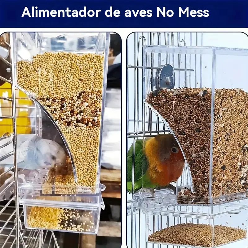 🐦 Comedero Automático para Pájaros｜Mantén la Comida Ordenada y A tus Aves Siempre Alimentadas