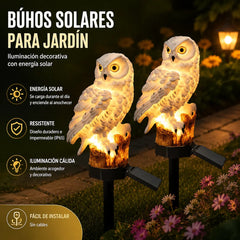 🦅 Luz solar de jardín con diseño de águila ¡50 % de descuento!