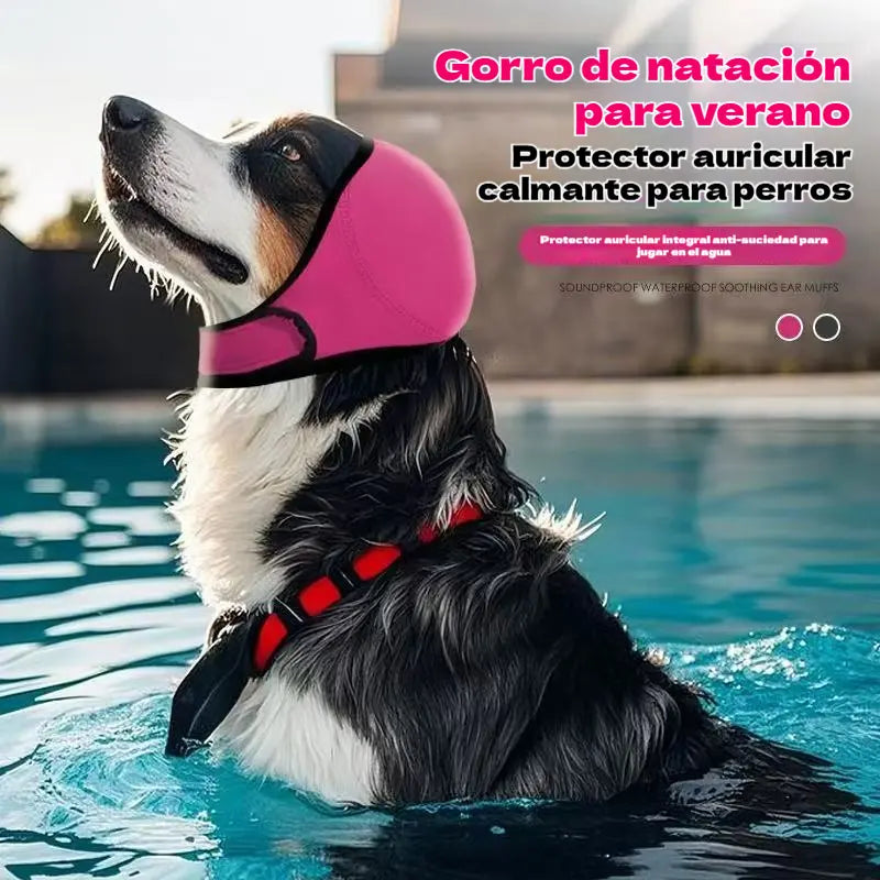 🐶 Diadema protectora para perros: reduce el ruido y es impermeable. Fabricada con caucho de neopreno de alta calidad, protege las orejas de tu mascota y la calma. ✨🌊