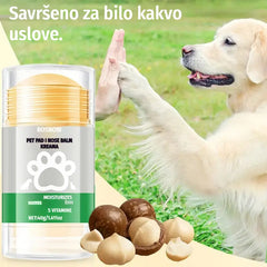 💧🐾 Hidratantni balzam za šape – 🐶 Razmazite meke i zdrave šape svog ljubimca