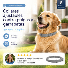 🐱🐶Collar antipulgas y garrapatas ajustable para perros y gatos🚫