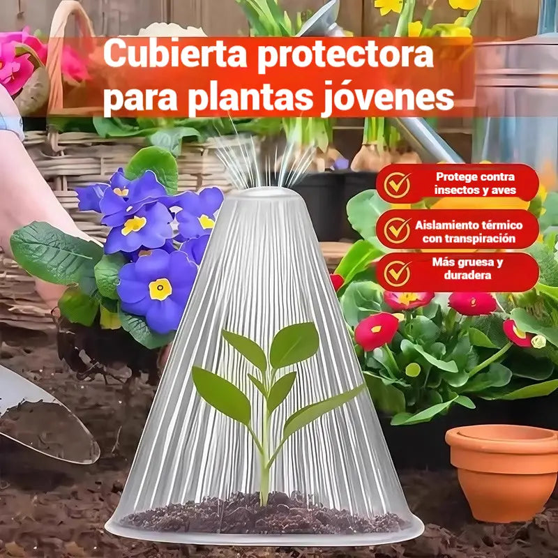 🔥20 piezas 25 euros🥬🥦Plántulas de melón, plántulas de hortalizas, cubiertas vegetales: conservación térmica, protección contra aves, insectos