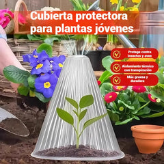 🔥20 piezas 25 euros🥬🥦Plántulas de melón, plántulas de hortalizas, cubiertas vegetales: conservación térmica, protección contra aves, insectos
