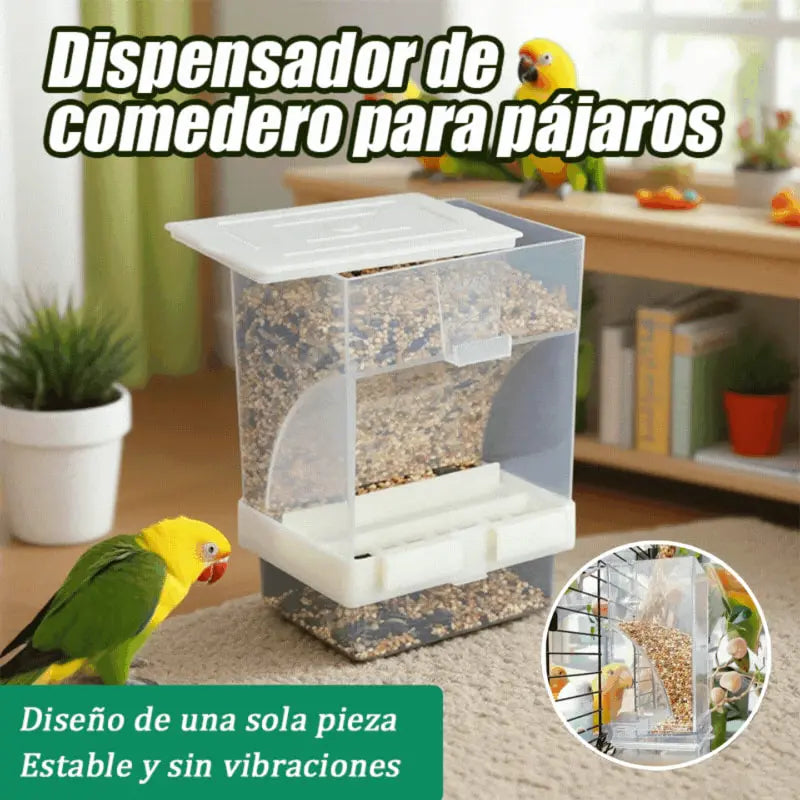 🐦 Comedero Automático para Pájaros｜Mantén la Comida Ordenada y A tus Aves Siempre Alimentadas