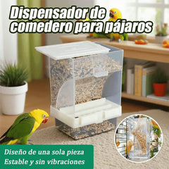 🐦 Comedero Automático para Pájaros｜Mantén la Comida Ordenada y A tus Aves Siempre Alimentadas