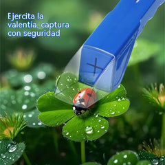 🦋2 artículos por 26 euros🐞Atrapainsectos infantil con lupa 6X: herramienta de observación de insectos para la exploración al aire libre.🔎🔎