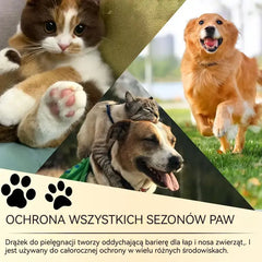 💧🐾 Nawilżający balsam do łap – 🐶 Rozpieszczaj miękkie i zdrowe łapy swojego pupila
