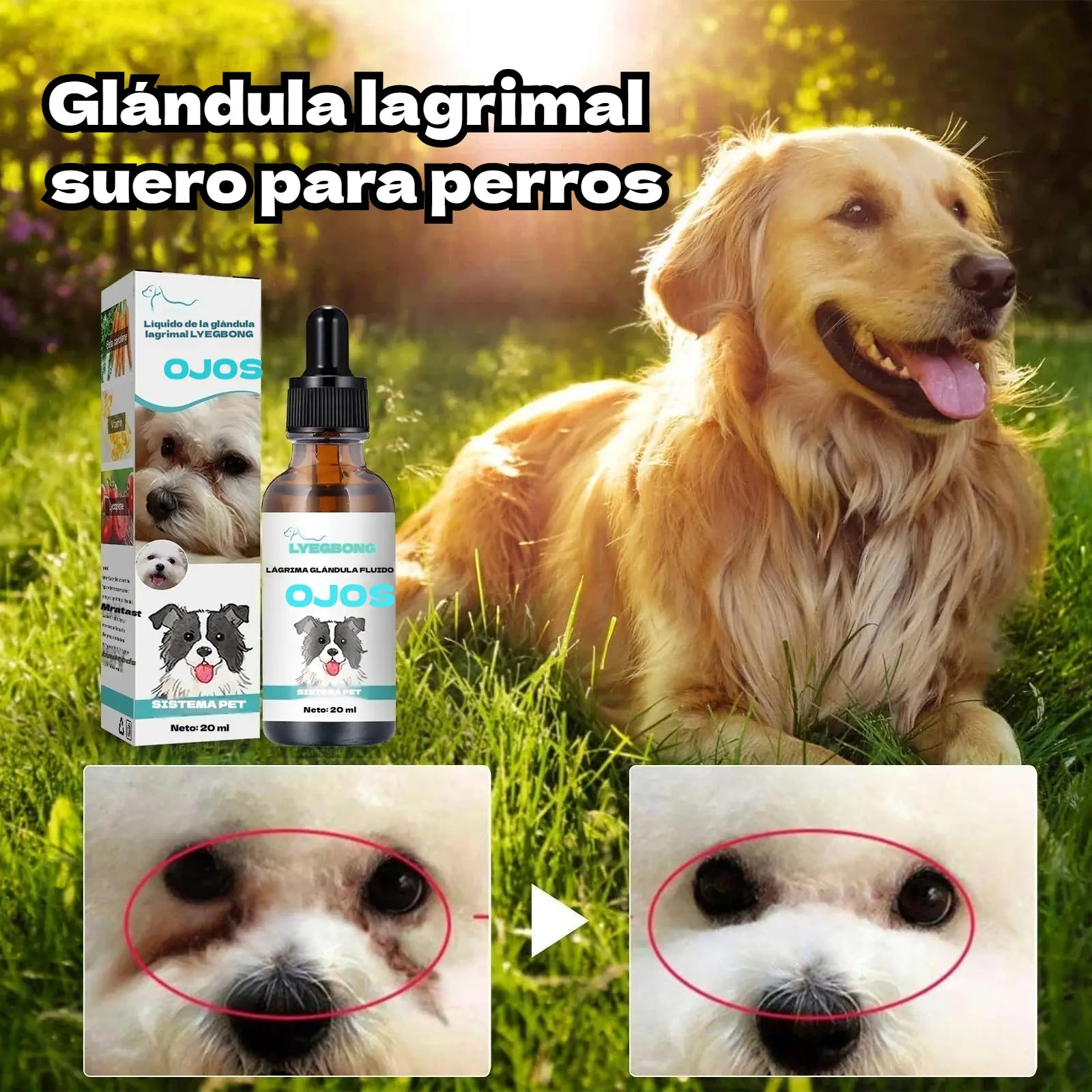 🐱🐶 Limpiador ocular y gotas para los ojos de mascotas: fórmula suave con pH equilibrado, segura para perros y gatos. 🌿💧