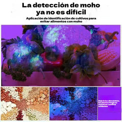 🔥Compra 1 y llévate 1 gratis🔥Luz especializada para la detección de verduras en la cocina - luz ultravioleta 🔦🌿
